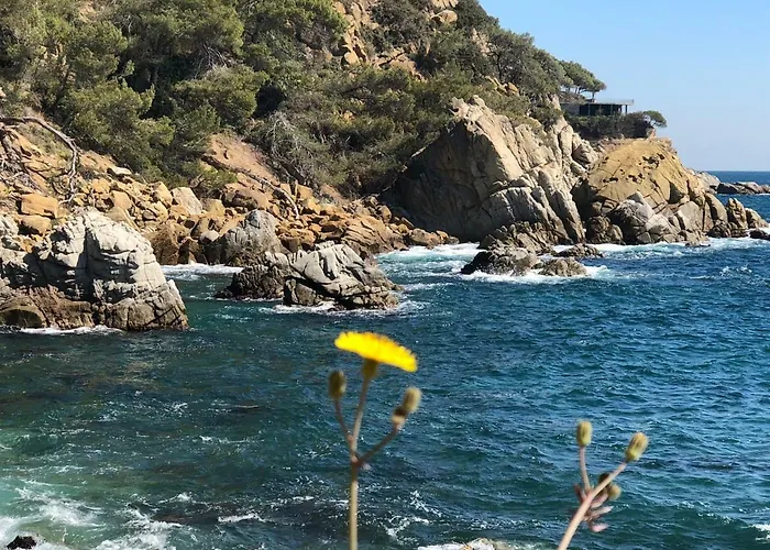 Apartament Apartamen Lloret de Mar