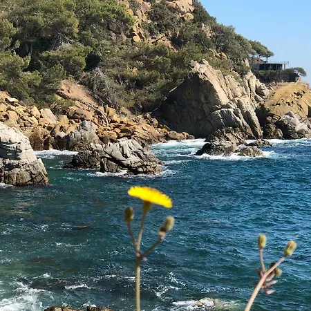 Appartement Apartamen Lloret de Mar